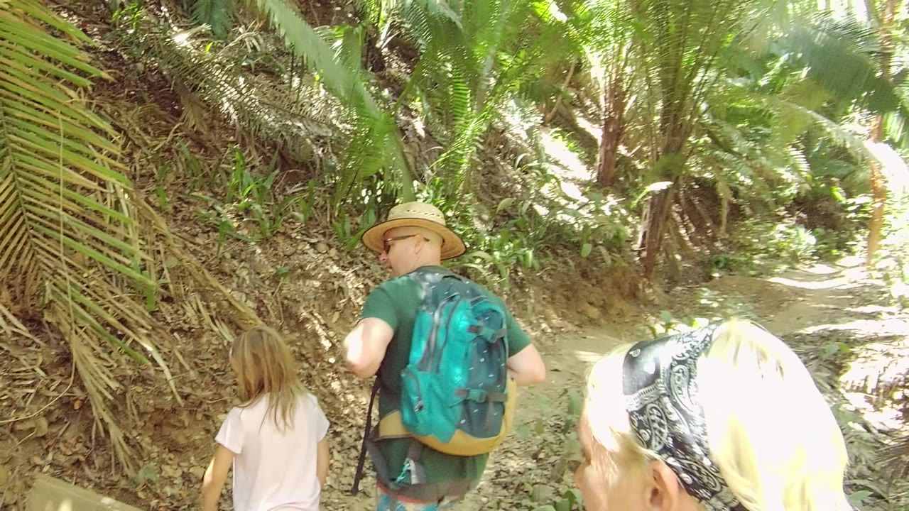 Small group continuing along a shaded dirt path.