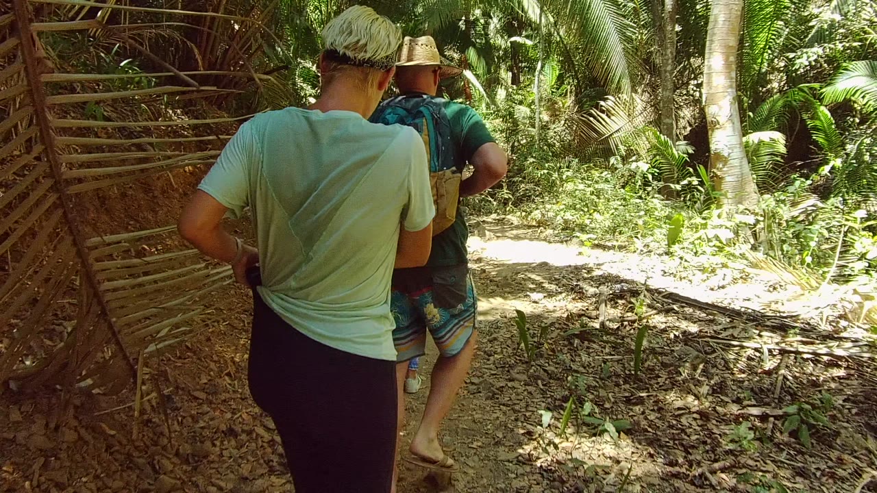Two people walk away from the camera on a narrow forest path in San Pancho Nayarit, Mexico, with palm fronds and dry leaves around them.