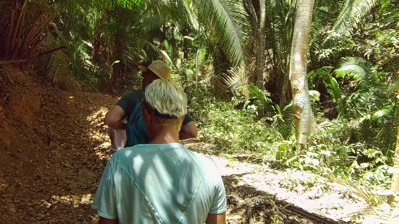 Two people are framed from behind on a shaded dirt path in San Pancho Nayarit, Mexico, with dense palms and green undergrowth surrounding the trail.