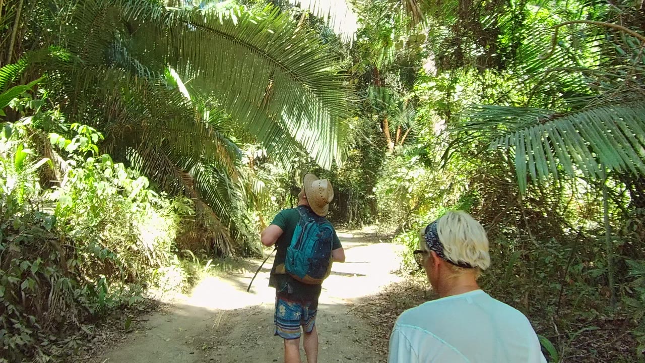 Two people walk away from the camera on a dirt forest path in San Pancho Nayarit Mexico, with dense green foliage overhead and bright sun patches on the trail.