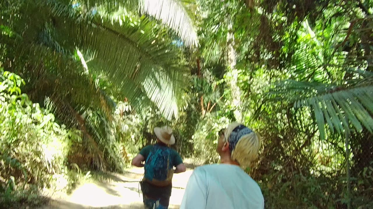 Two walkers continue along a leafy dirt trail