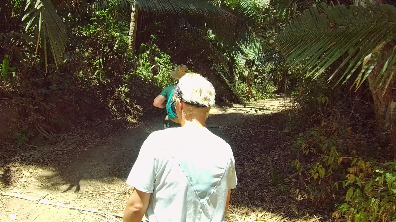 Two people walk away on a narrow dirt trail in San Pancho, Nayarit, Mexico, with dense palm-like foliage overhead and bright sun on the person closest to camera.