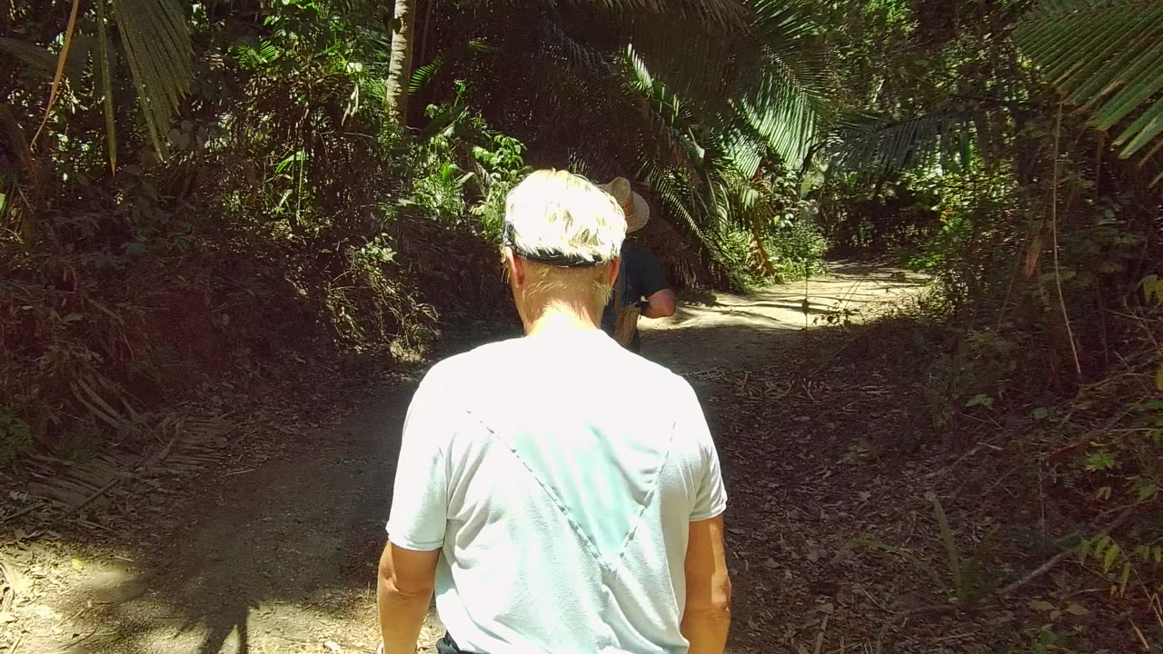 Hikers continue along a narrow dirt trail under thick greenery.