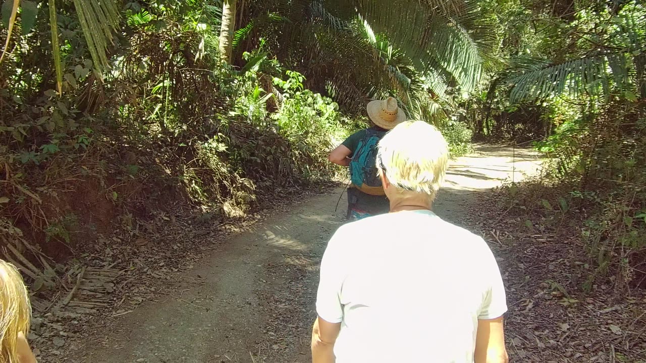 Two people are seen from behind on the dirt path in San Pancho, Nayarit, Mexico, with the lead hiker near a bright bend and thick plants lining both sides.