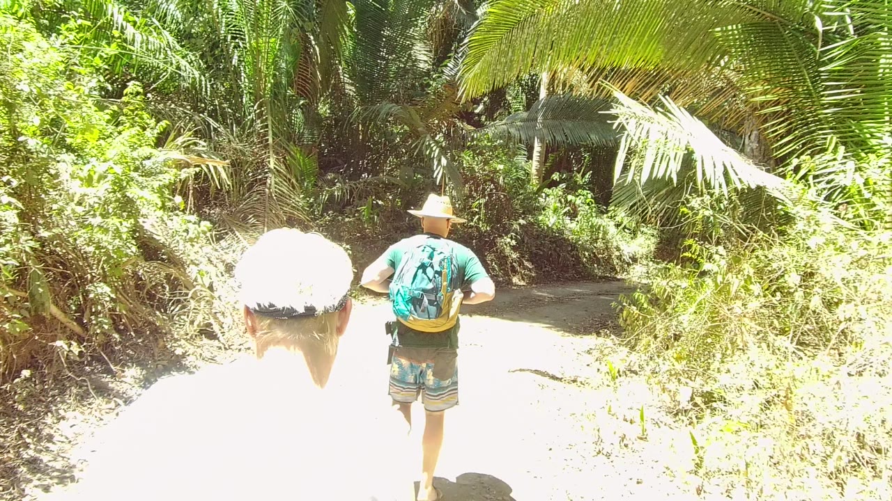 At 0:00 in San Pancho Nayarit Mexico, people walk away on a narrow dirt trail bordered by bright palm fronds and dense green vegetation.