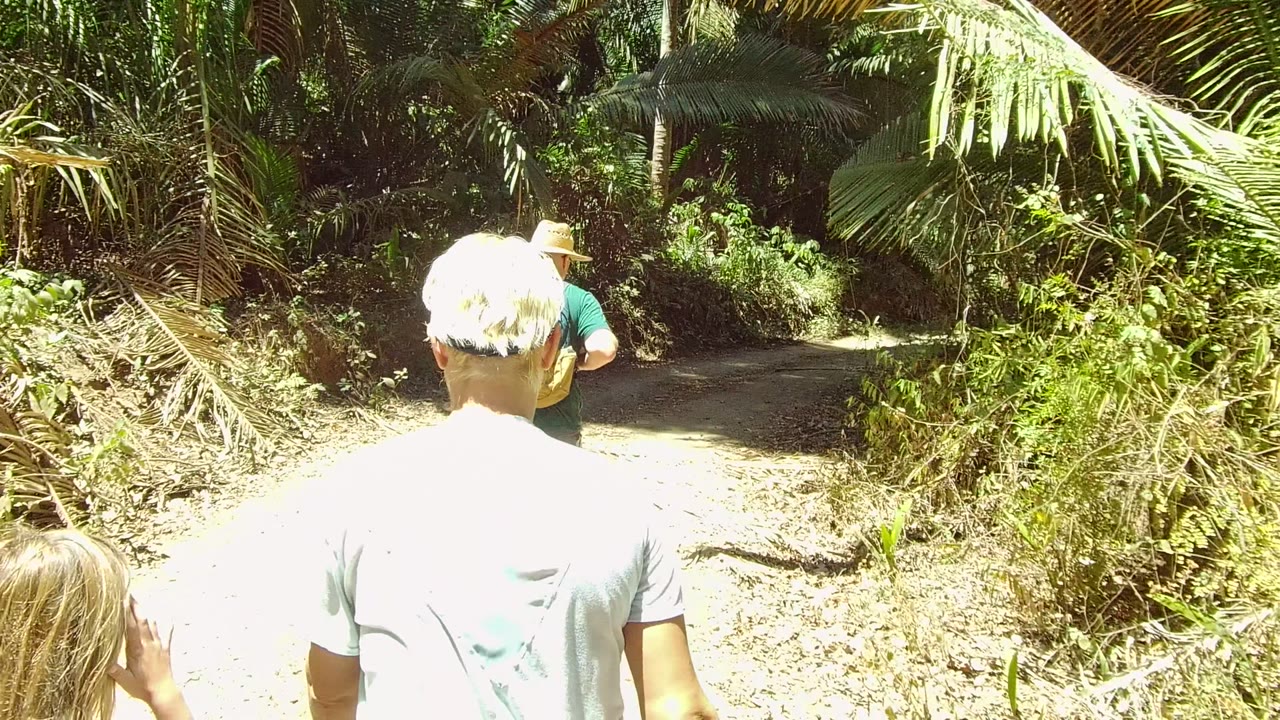 At 0:02 in San Pancho Nayarit Mexico, an adult and a child appear from behind as a hat-wearing hiker leads them along a curving forest path.