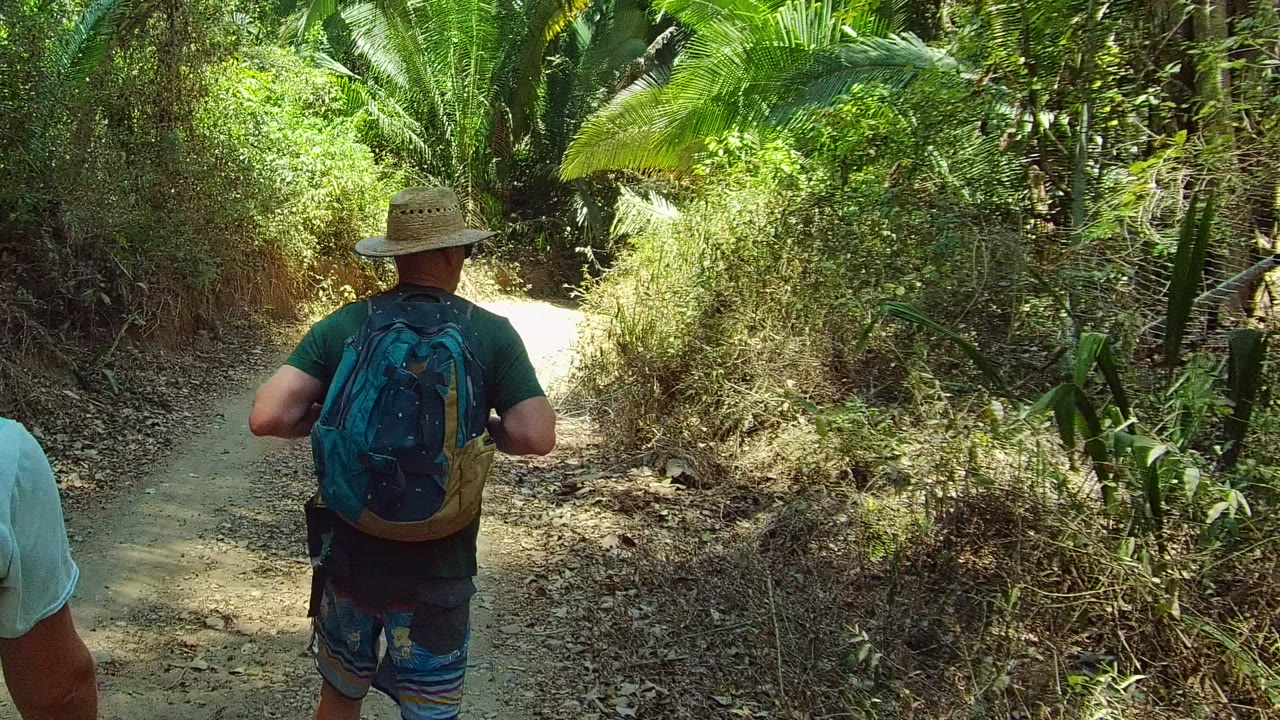 A hiker in a straw hat and blue backpack walks away on a narrow dirt path in San Pancho Nayarit, Mexico, with dense green plants on both sides.