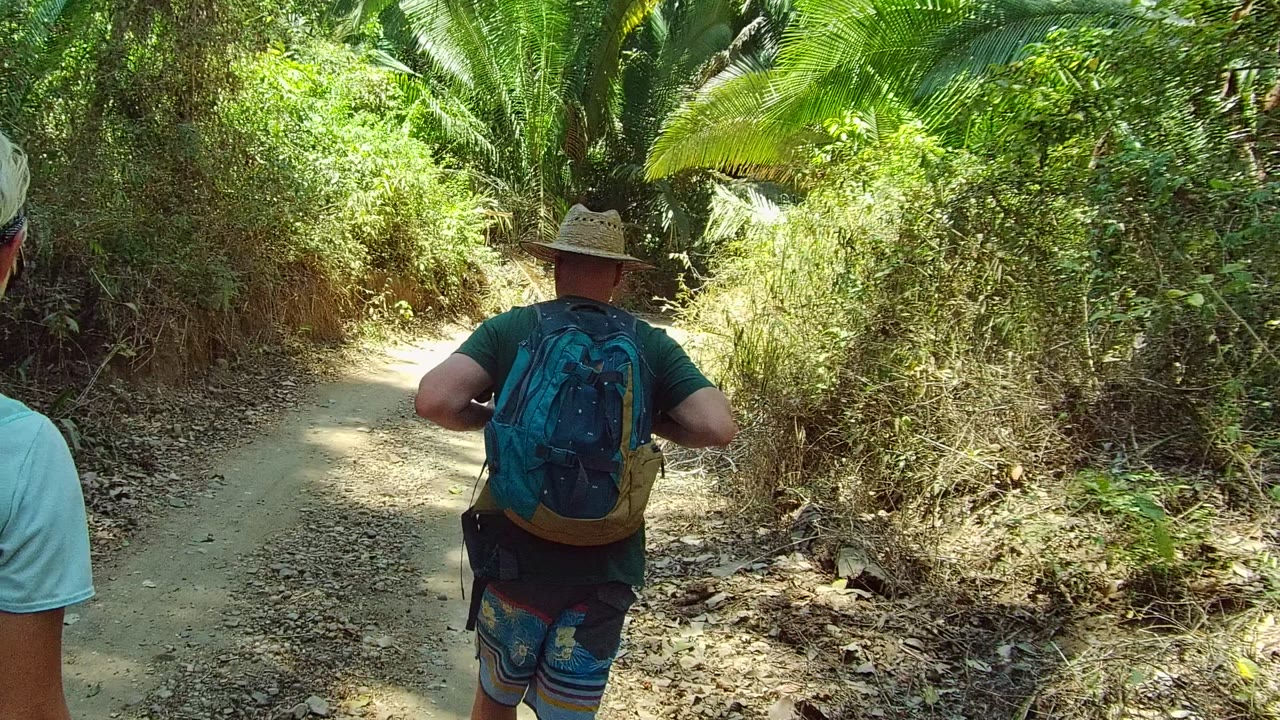 A partial hiker in a light shirt appears at the left foreground as the dirt path continues through bright green forest growth in San Pancho Nayarit, Mexico.