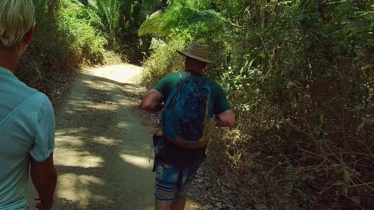 A hiker in a light blue shirt is seen from behind in the foreground as the backpacked hiker leads along the shaded dirt path in San Pancho Nayarit, Mexico.