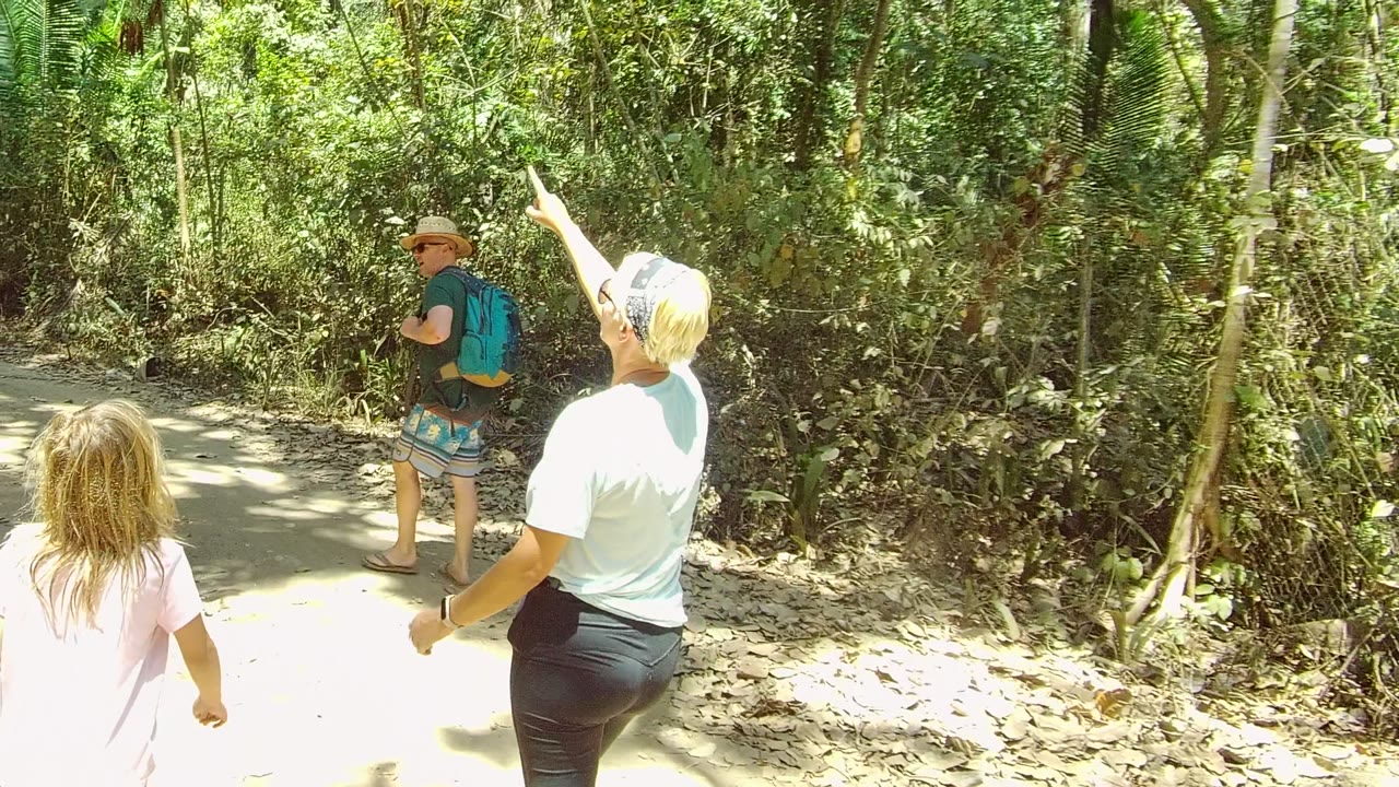 At 0:02 in San Pancho Nayarit Mexico, one adult raises an arm to point into the trees while the child and backpacked adult move along the trail.