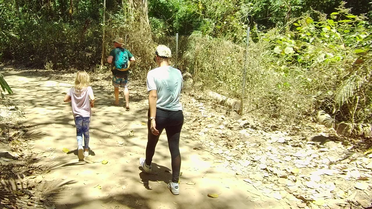 Child and two adults walking deeper along a leafy trail