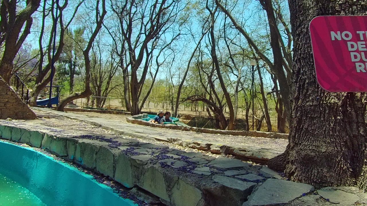 Water flume curves past trees with small riders visible in a tube.