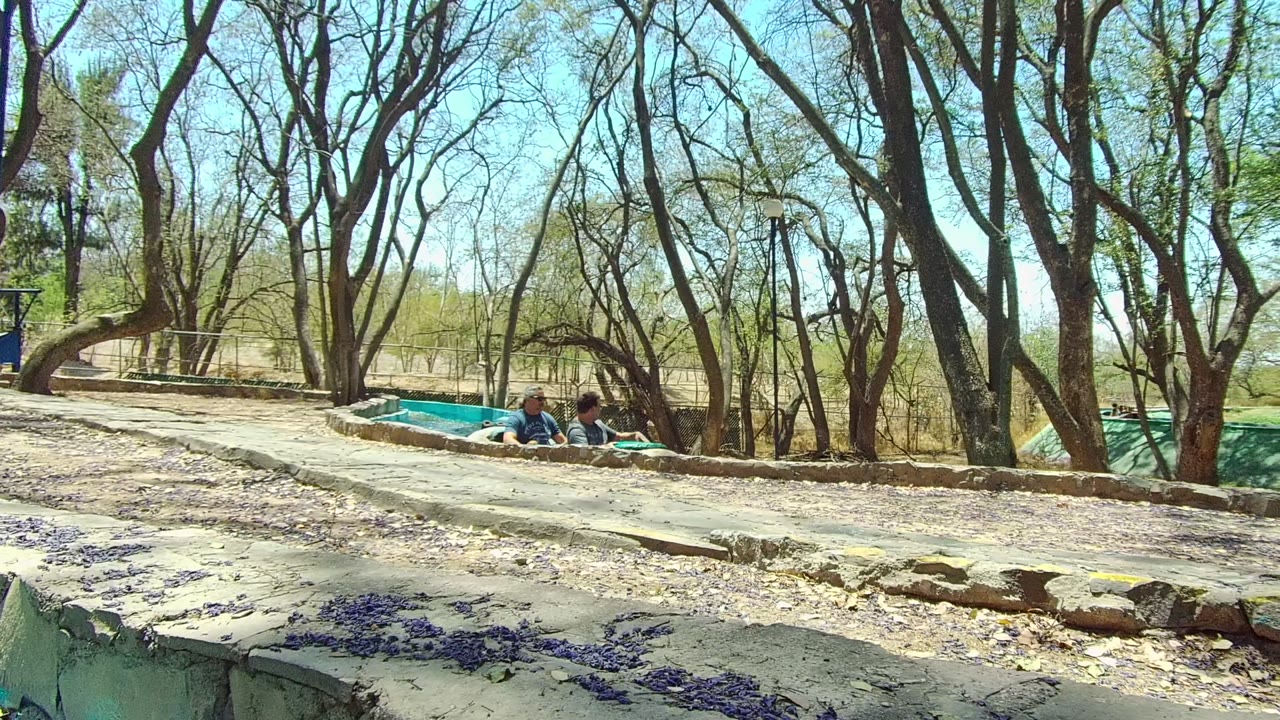 A red sign warning riders not to stand appears on a tree beside the Guadalajara Mexico flume, with the channel curving through stone edges and trees in bright sun.
