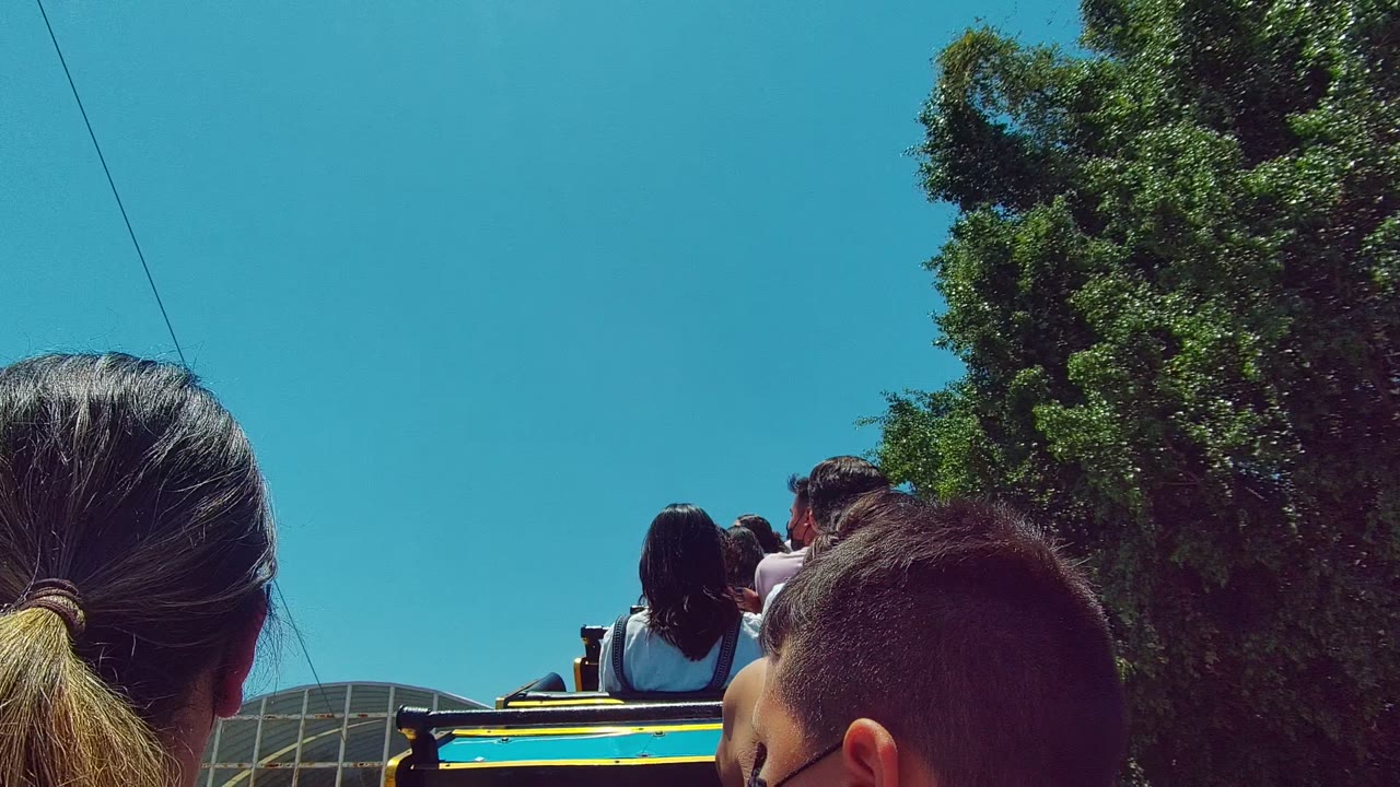 Passengers remain framed from behind in Guadalajara Mexico, with the woman's ponytail near center, a child in the right foreground, bright blue sky, and dense green tree canopy on the right.