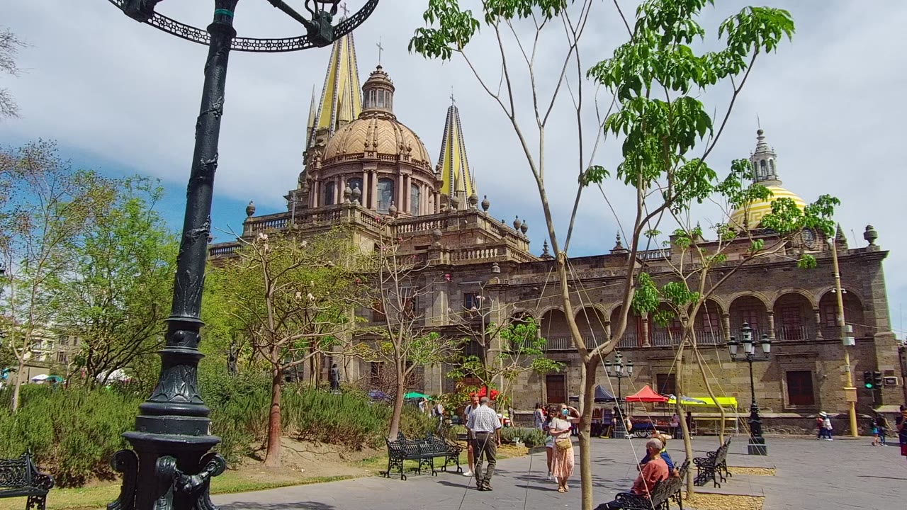 A tall black lamppost and leafy branches sit in the foreground as the Guadalajara cathedral, benches, people, and street activity fill the plaza view.
