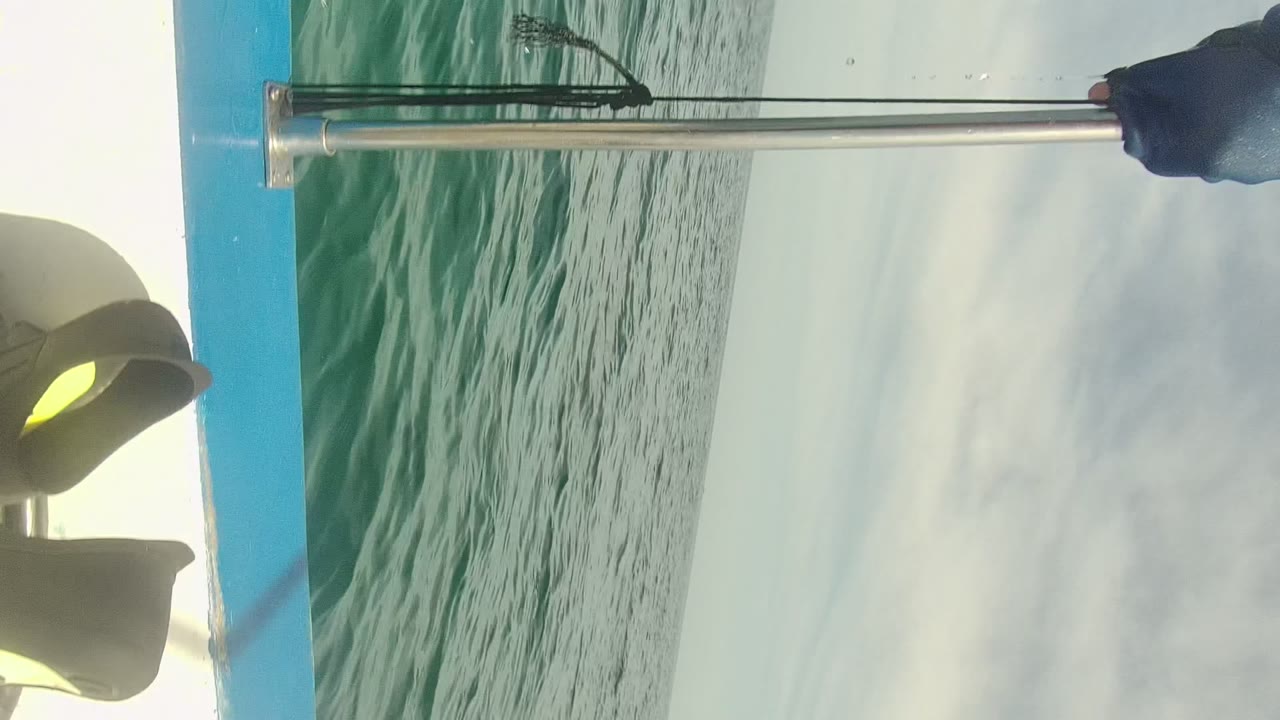 Tilted view from a boat in Cabo Pulmo, Mexico, showing green-blue ocean, pale sky, a turquoise boat edge, a rail or fishing rod, and no visible people.