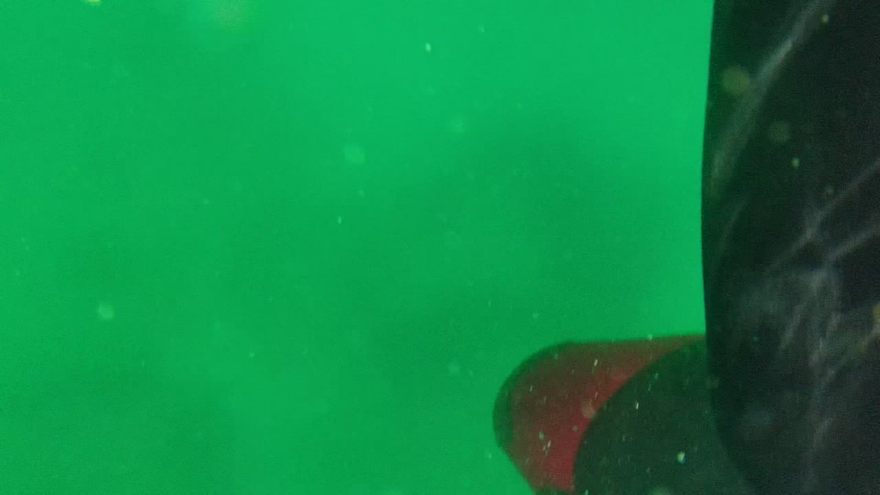 Cabo Pulmo underwater frame showing mostly open green water, a dark curved edge, and a red gear or wetsuit detail near the right side, with no visible face.