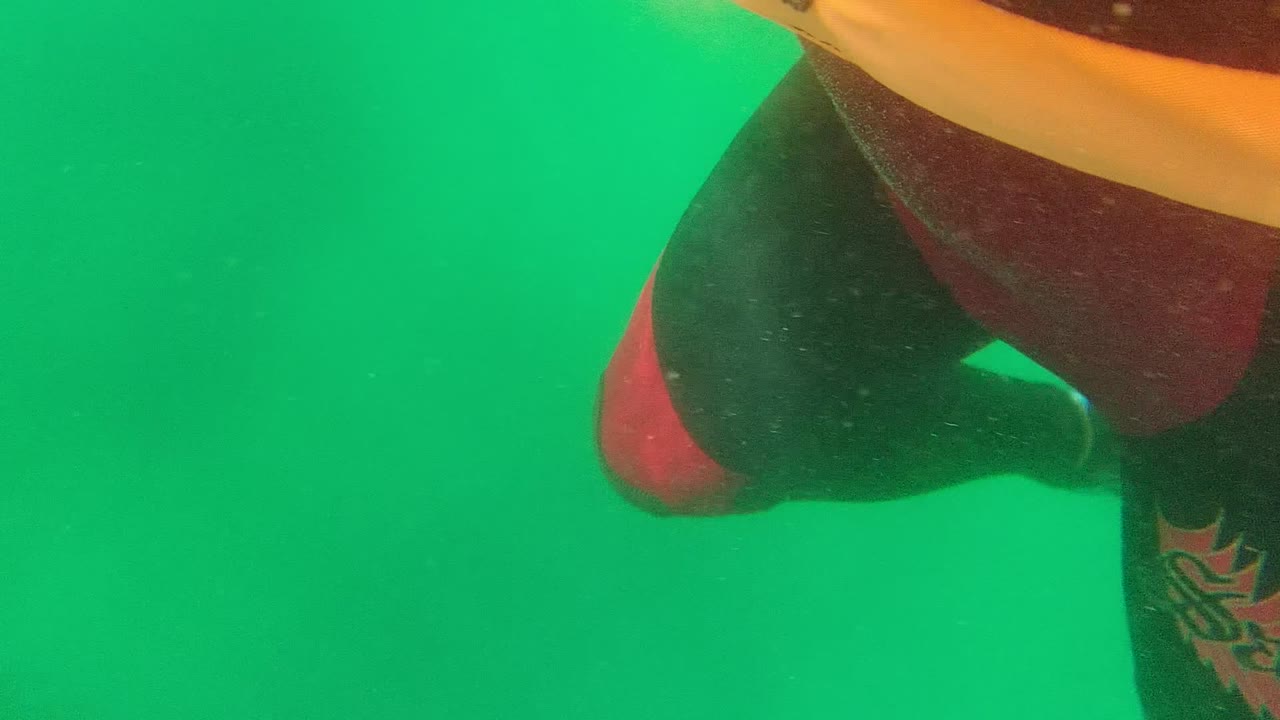 A close underwater view in Cabo Pulmo BCS Mexico shows part of a swimmer in red and black gear entering from the upper frame against green water.