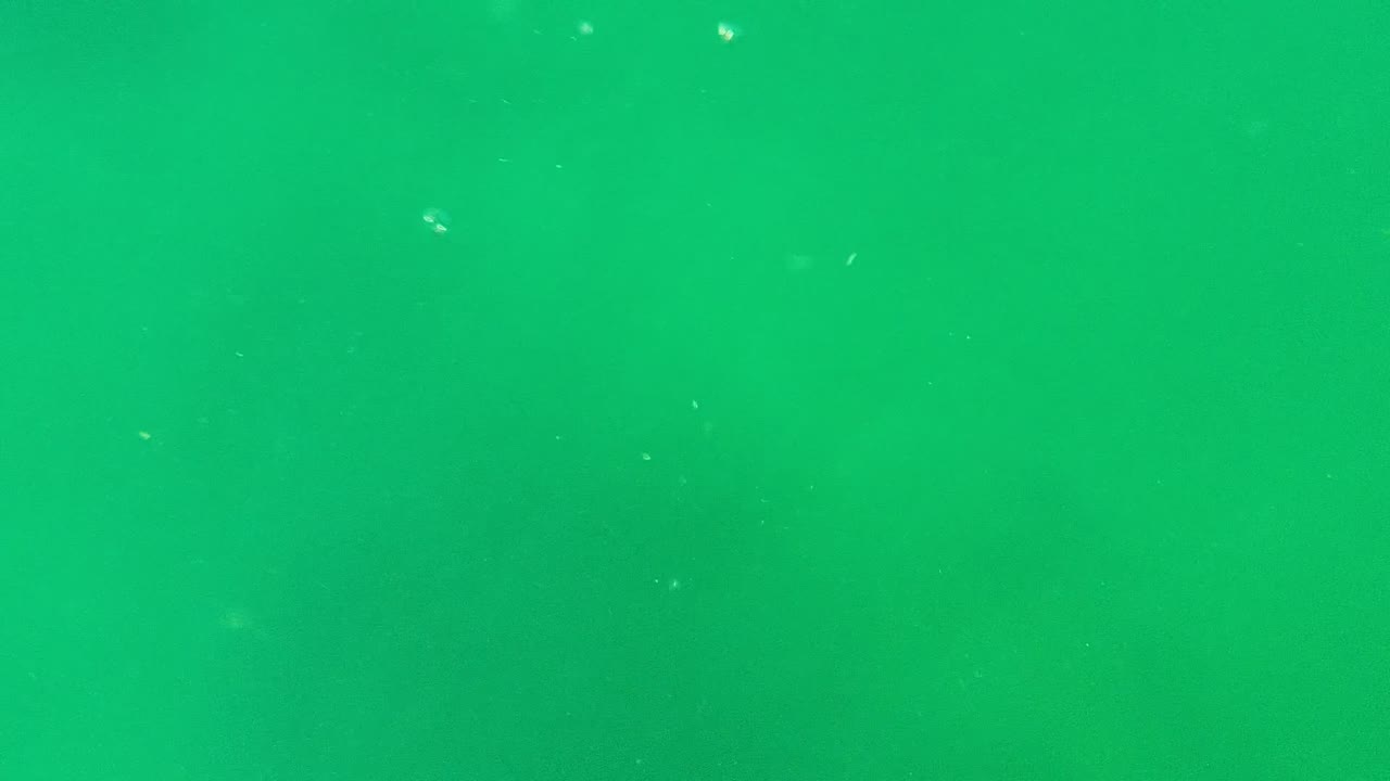Green underwater view with faint particles