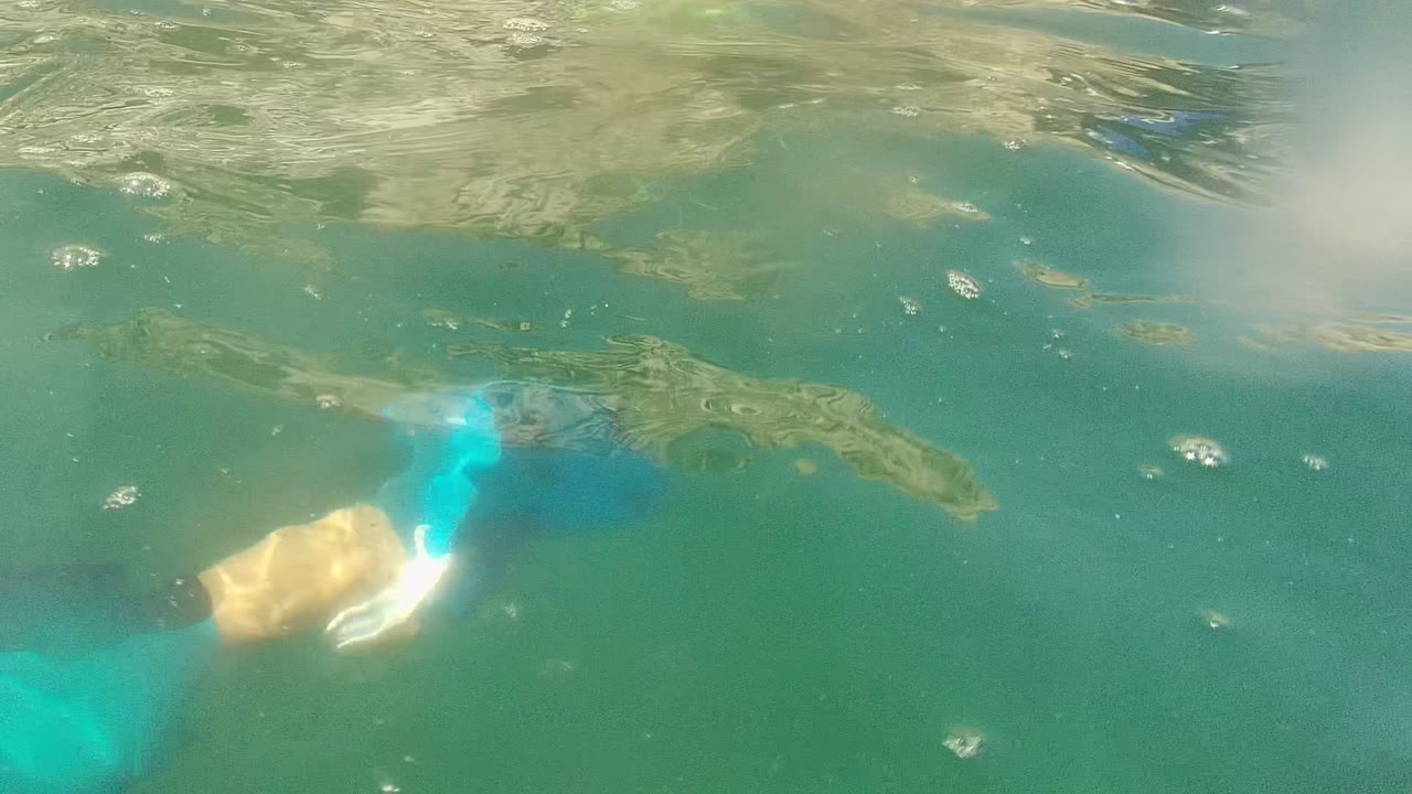 At 0:00 in Cabo Pulmo, Mexico, a swimmer's partial body and arm appear near the left edge under rippled green-blue water, with no recognizable face visible.