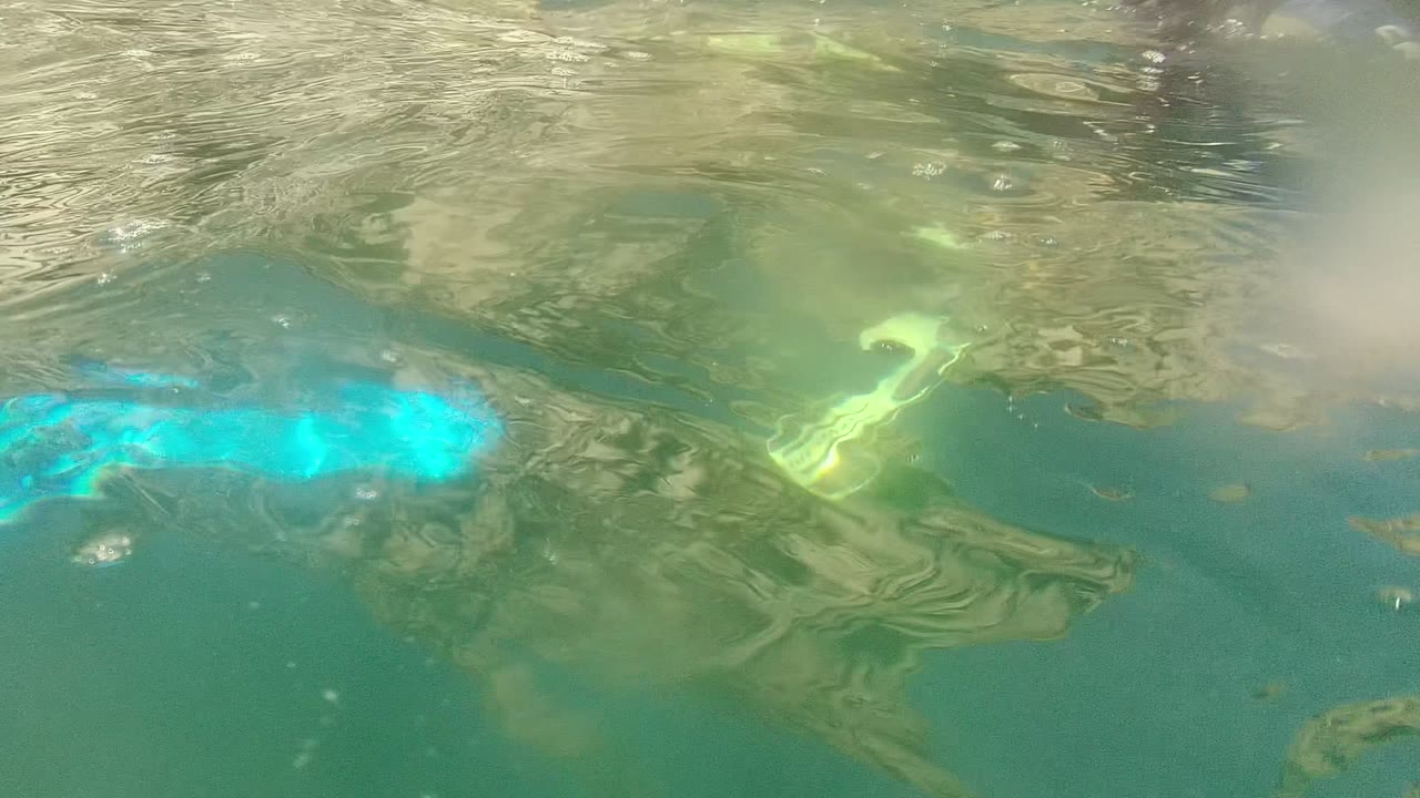 Bright blue swimmer shape below reflective water surface