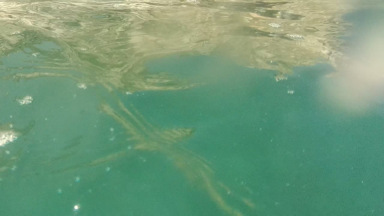 At 0:02 in Cabo Pulmo, Mexico, a small yellow-green part of the swimmer is visible near the upper center beneath shimmering surface ripples, with open green water below.