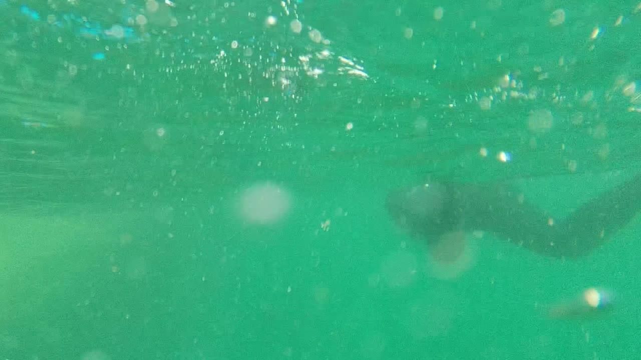Underwater Cabo Pulmo frame with green water, bright surface ripples, floating bubbles, and a dark fish shape near the upper left, with no visible people.