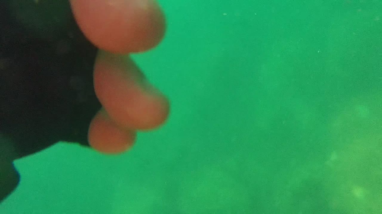 A close hand with fingers appears at the edge of green underwater footage in Cabo Pulmo BCS Mexico, with no recognizable face visible.