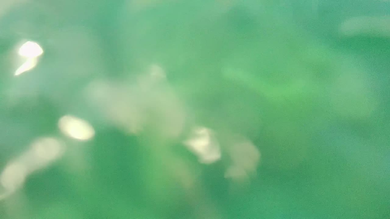 A blurred green underwater frame shows pale forms through the water in Cabo Pulmo BCS Mexico, with no visible face or identifiable person.