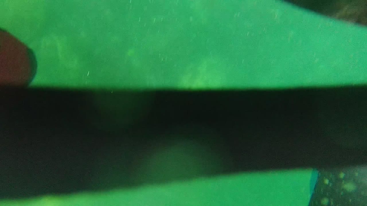 Close underwater frame from Cabo Pulmo BCS Mexico showing a cropped wetsuited diver near the camera in green water with suspended particles and no clear face.