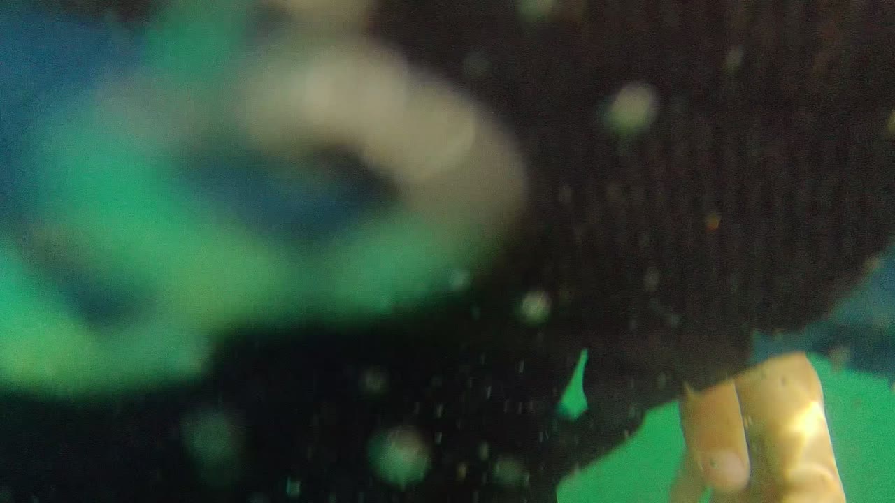 Blurred underwater diver close to the camera.