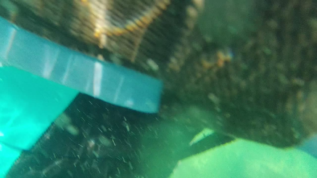 The diver's upper body is cropped near the right side in Cabo Pulmo BCS Mexico, with mask or gear edges, dark wetsuit, green water, and small particles visible.