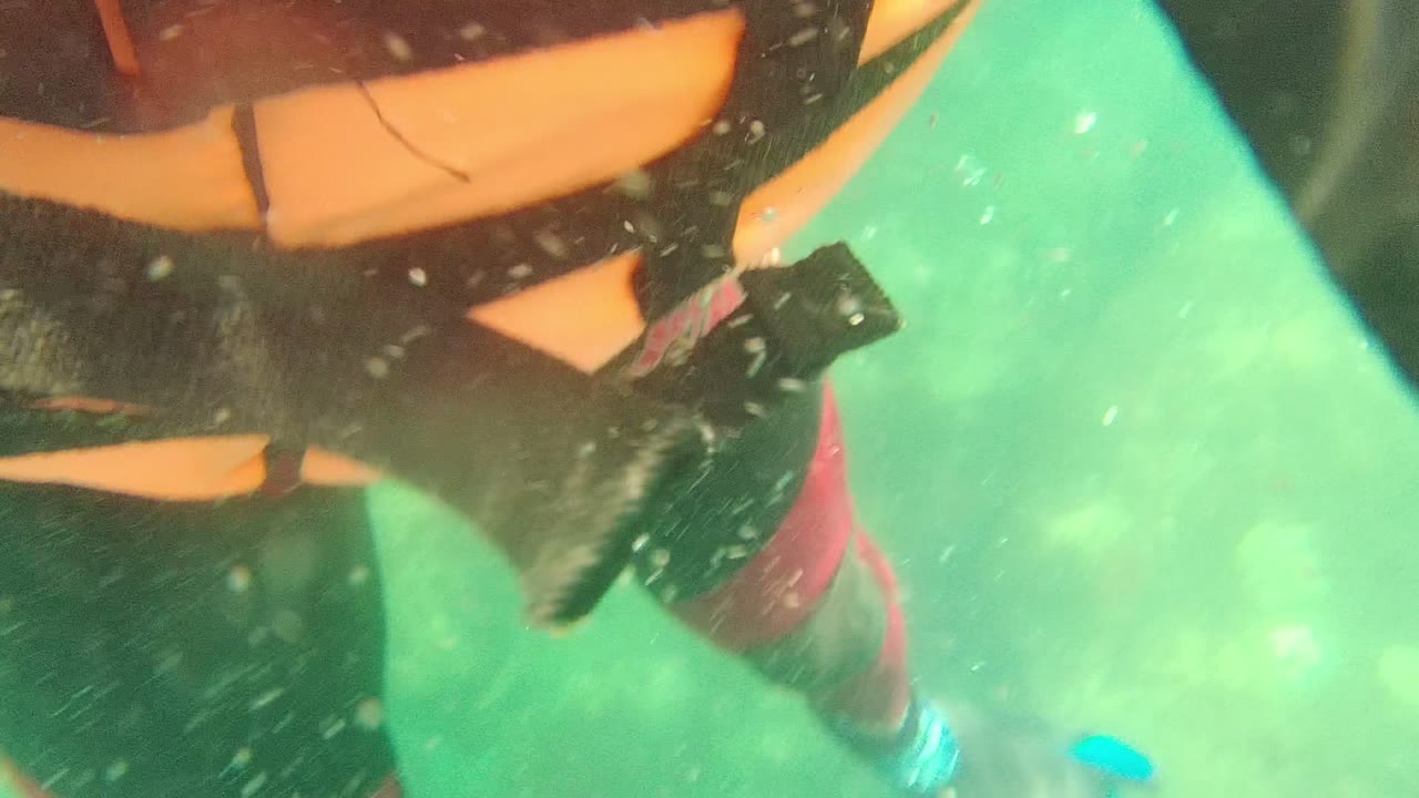 Close scuba gear and orange-black wetsuit underwater with green water behind.