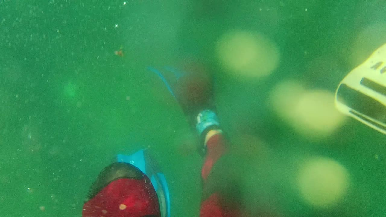 At 0:00 in Cabo Pulmo, Mexico, a partly cropped swimmer in a red wetsuit and blue flipper appears near the left side of a green underwater frame.
