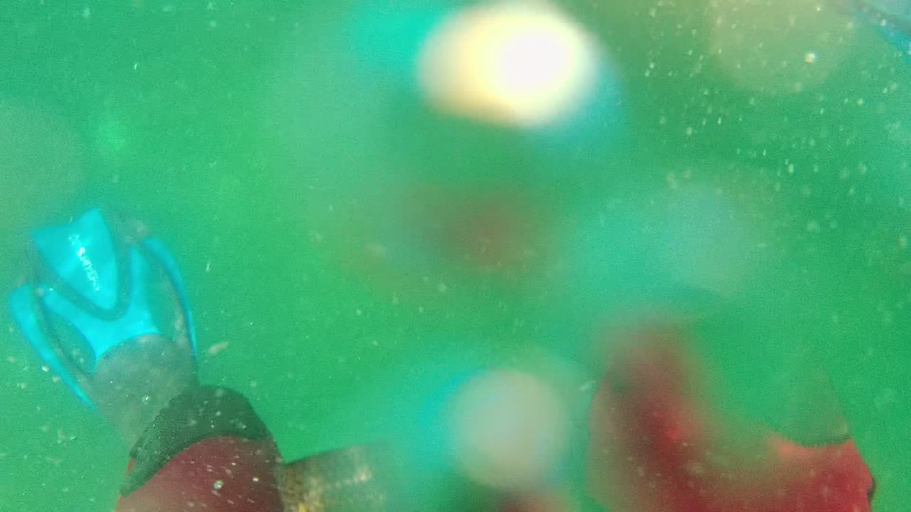 Underwater swimmer legs and fins seen through green water