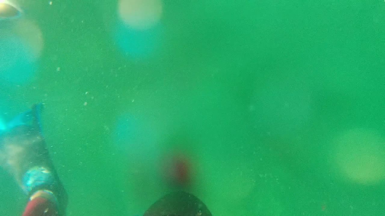 At 0:02 in Cabo Pulmo, Mexico, a blue flipper and a small section of red wetsuit sit near the upper frame as the swimmer moves farther from view.