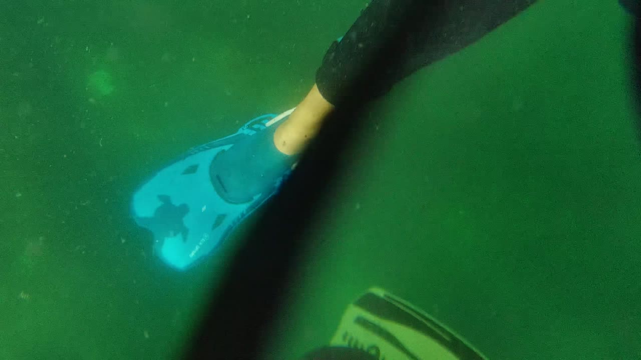 Blue swim fin, partial swimmer leg, and a yellow fin edge appear underwater in Cabo Pulmo BCS Mexico, with no visible face.