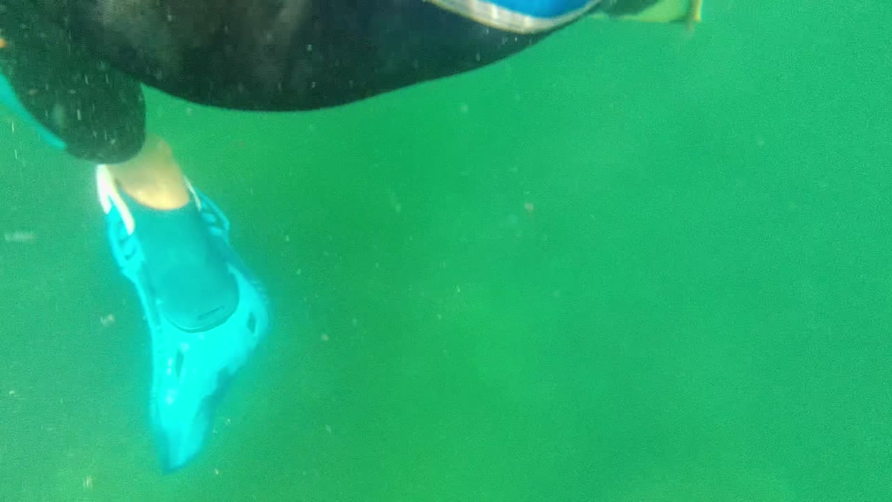 A swimmer's lower body and blue fin appear near the upper right of the Cabo Pulmo underwater frame, leaving most of the image as green particulate water.