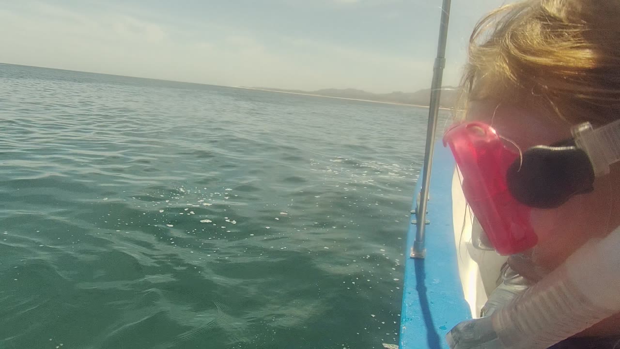 Person in pink snorkel mask beside a boat rail and calm sea.