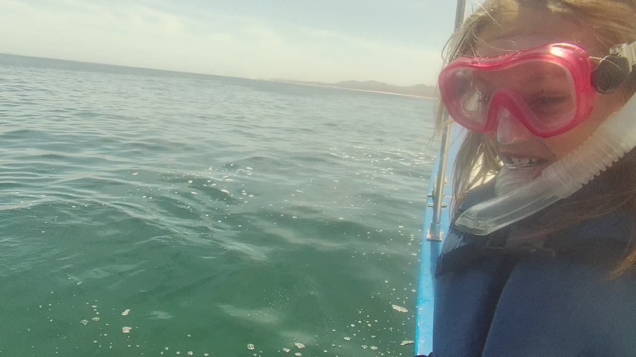 The snorkeler in Cabo Pulmo BCS Mexico is cropped on the right side of the frame, wearing a pink mask and dark wetsuit beside open rippled sea and a faint horizon.