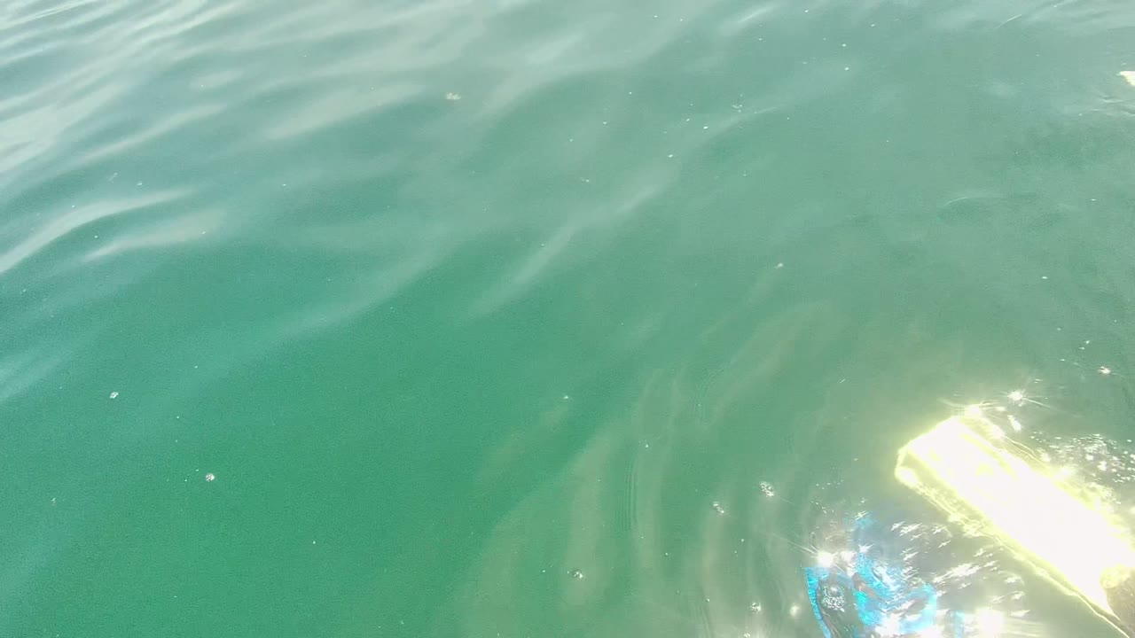 Turquoise ocean water in Cabo Pulmo, Mexico, with the top of blue swim fins and a bright yellow fin partly entering the lower frame, no visible people.