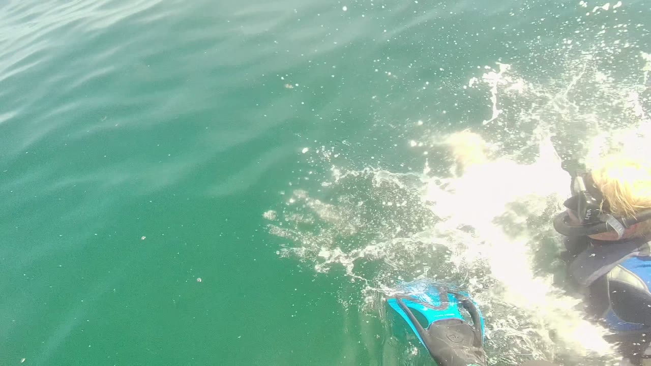 Snorkeler surfacing beside splashing water and blue fins.