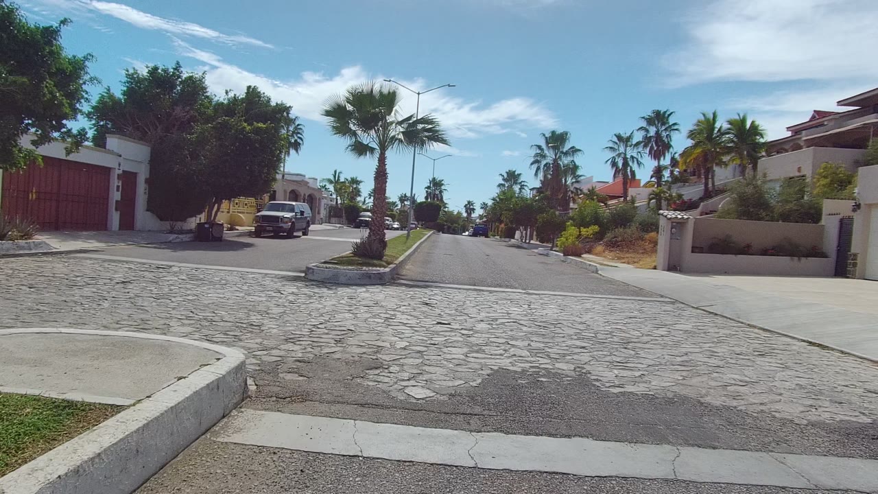 Wide view of a palm-lined residential street in East Cape Los Cabos BCS Mexico, with cobblestone in the foreground, white walls, red garage doors, vehicles, blue sky, and no visible people.