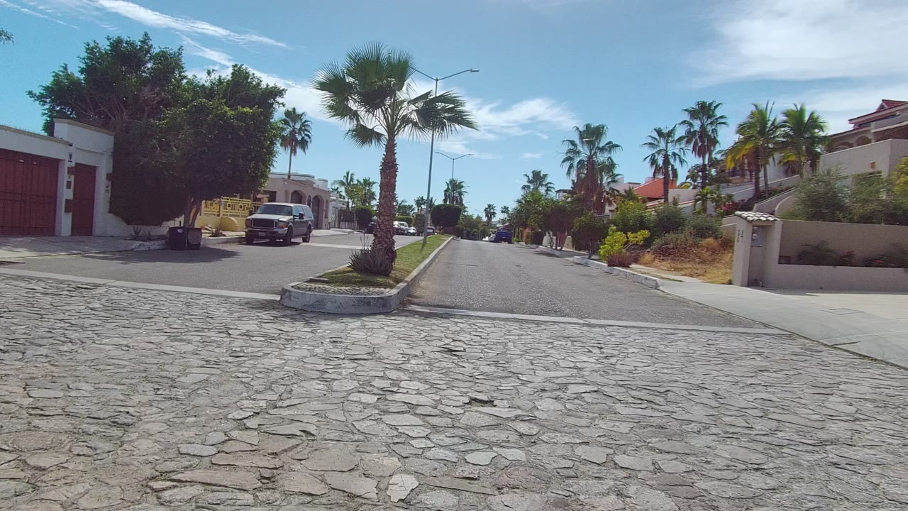 Residential road with a palm tree median and a vehicle near white walled homes.