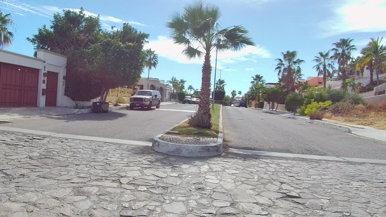 Street-level frame in East Cape Los Cabos BCS Mexico showing red garage doors on white homes, palms along both sides, a vehicle on the road, hard sunlight, and no visible people.