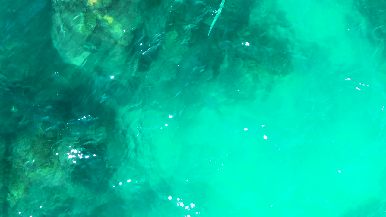 Rocky seabed visible through turquoise water with yellow-green coral patches