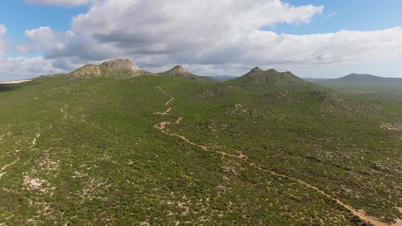 Aerial frame from Buzzards Beach East Cape BCS Mexico showing branching pale dirt paths across green scrub hills, several rocky peaks, a hazy distant ridge, and no visible people.