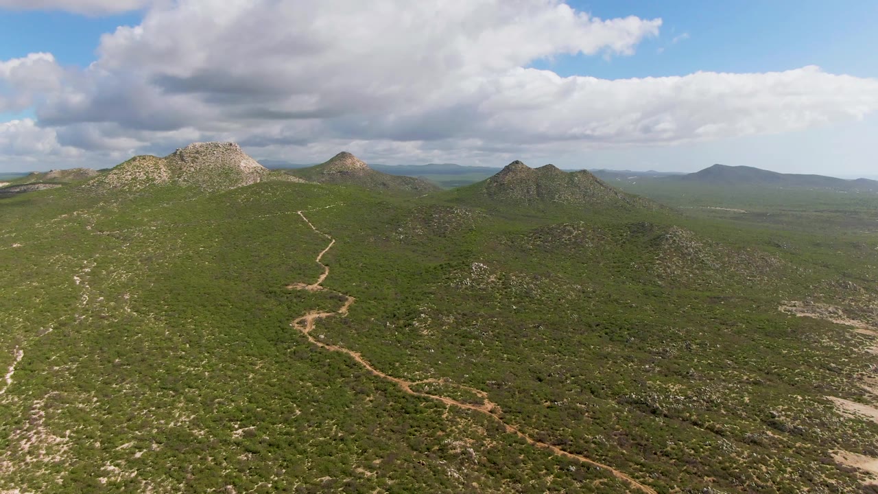 Opening aerial frame over Buzzards Beach East Cape BCS Mexico terrain, with a pale dirt path crossing green hills toward rocky rises and no visible people.