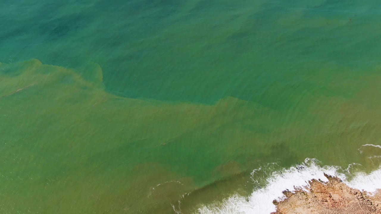 Overhead view at Buzzards Beach East Cape BCS Mexico with darker green water above, brown-green shallows below, white surf on the lower right, and no visible people.