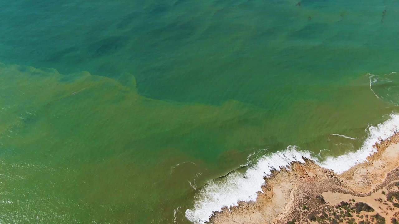 Top-down view at Buzzards Beach East Cape BCS Mexico showing green ocean water, white foam, and a tan rocky sandy shore with no visible people.